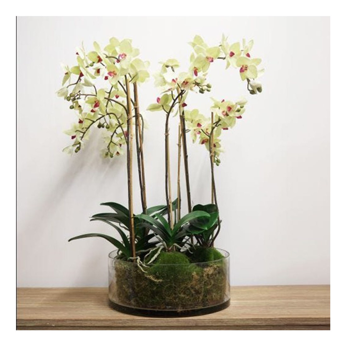 Pale Green Orchid in Glass Pot