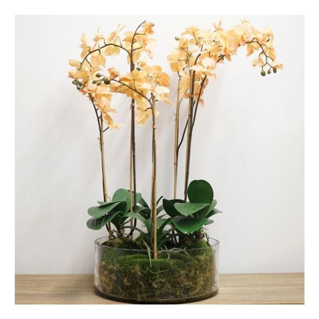 Glass shop orchid pots