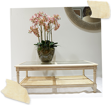 pale wood and glass coffee table against white wall with large pink potted orchid on top